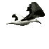 gull