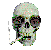 Skull3