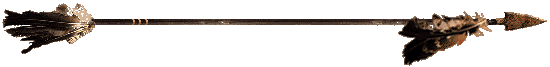 arrow2.gif