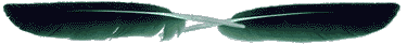 feather5.gif