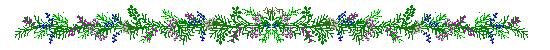 flower.gif