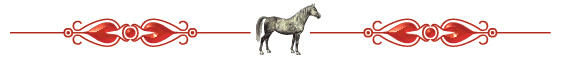 horse.gif